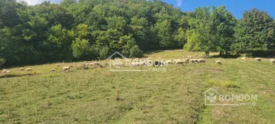 Na predaj pozemok, 661 m², Lopušné Pažite