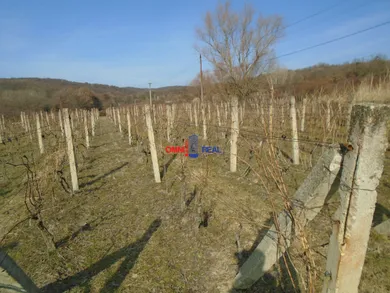 Działki na sprzedaż, Pezinok · €48 700