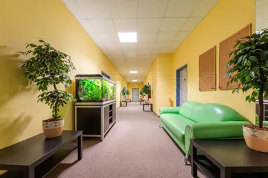 Na prenájom komerčné, 56 m², Bratislava-Dúbravka, Drobného