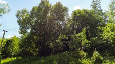 Na predaj pozemok, Prakovce, Prakovce 43