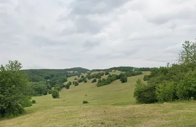 Na predaj pozemok, Drietoma