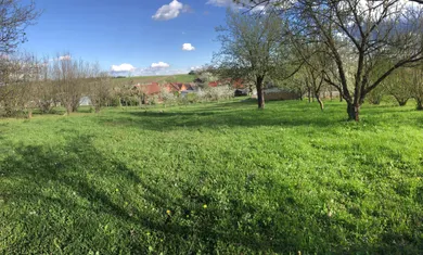 Na predaj pozemok, Dežerice