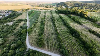 Na predaj pozemok, Pezinok