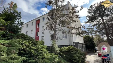 Na prenájom 1-izbový byt, 24 m², Bratislava-Nové Mesto, Ďurgalova