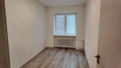 Na prenájom dom, Baka