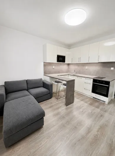Квартиры в аренду, 1-комнатные, Bratislava-Petržalka · €650