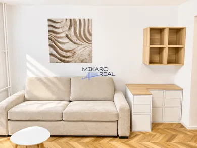 Byty na prenájom 1-izbový, Bratislava-Devínska Nová Ves · €500