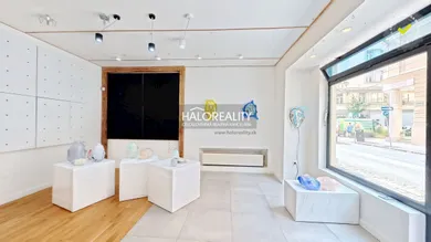 Na prenájom komerčné, 37 m², Bratislava-Staré Mesto, Klemensova