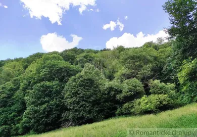 Na predaj pozemok, Hrušov