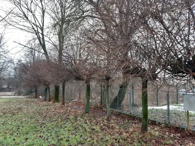 Na prenájom pozemok, Košice-Šaca