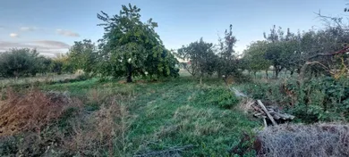 Na predaj dom, 88 m², Trhová Hradská, Bočná