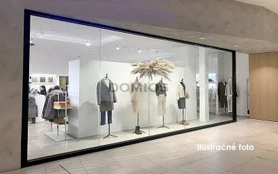 Na prenájom komerčné, 212 m², Košice-Staré Mesto, Žriedlová
