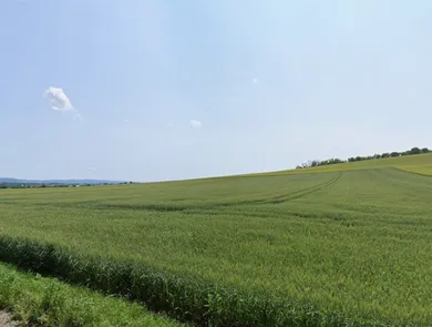 Na predaj pozemok, Podolie
