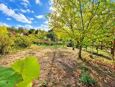 Na predaj rekreačný dom, 556 m², Lozorno, Záhrady