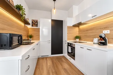 Na prenájom 1-izbový byt, 55 m², Bratislava-Ružinov, Miletičova