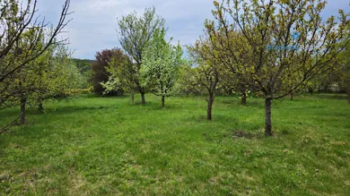 Na predaj pozemok, Nitra