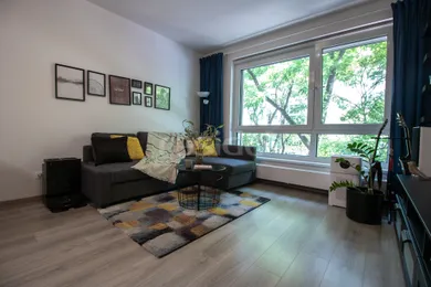 Na prenájom 2-izbový byt, 48 m², Bratislava-Staré Mesto, Blumentálska