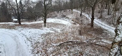 Na predaj pozemok, Dolné Orešany