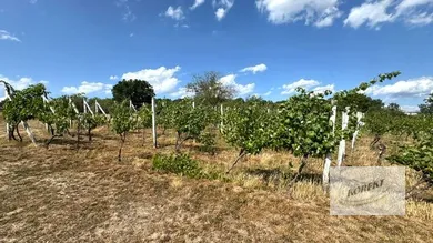 Na predaj 3-izbový rekreačný dom, 200 m², Rybník, Viničná