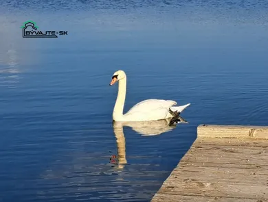 Na predaj pozemok, 401 m², Koš, Prievidzská Stará