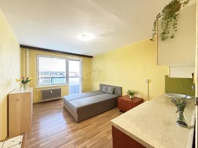 Na predaj 1-izbový byt, 24 m², Košice-Staré Mesto, Dargovská 1