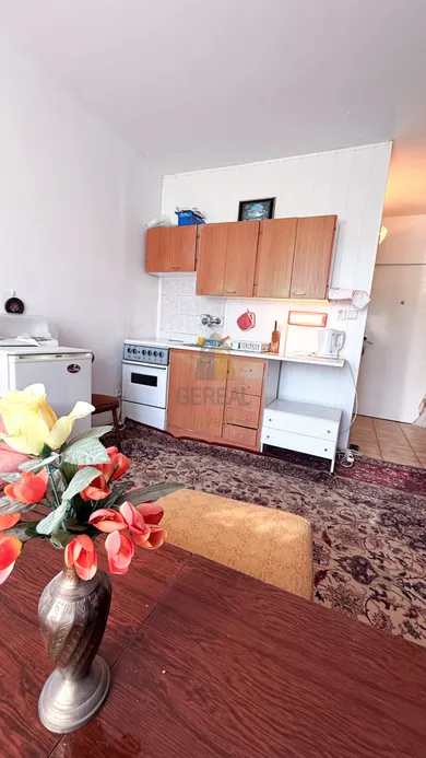 Na predaj 1-izbový byt, 23 m², Veľké Kapušany