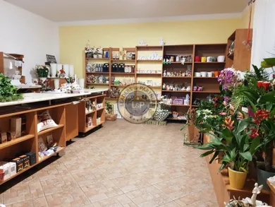 Na predaj 4-izbový dom, 164 m², Rajka