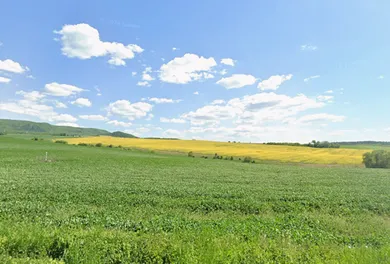 Na predaj pozemok, Ruská Nová Ves