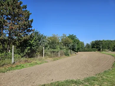 Na predaj dom, 320 m², Nový Tekov