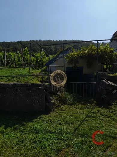 Na predaj pozemok, Viničky