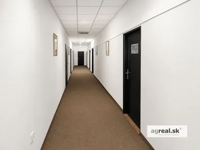 Na prenájom komerčné, 43 m², Bratislava-Nové Mesto, Pluhová
