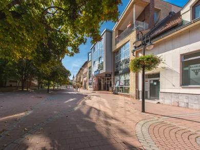 Lokale komercyjne na wynajem, Dunajská Streda · €1250