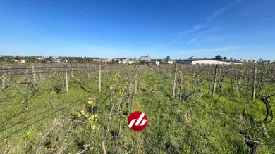 Na predaj pozemok, Bratislava-Nové Mesto, Koziarka