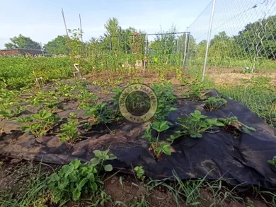 Pozemky na predaj, Trnava · €28 000