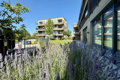Byty na predaj 4-izbový, Bratislava-Jarovce · €539 000
