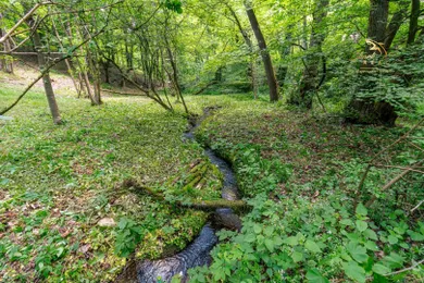 Na predaj pozemok, Prašice, Duchonka