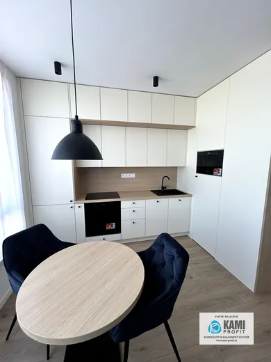 Na prenájom 1-izbový byt, 38 m², Bratislava-Ružinov, Mlynské Luhy