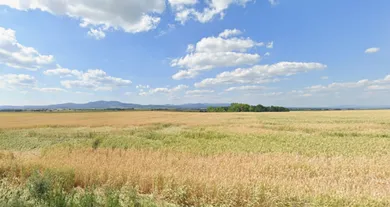 Na predaj pozemok, Kovarce