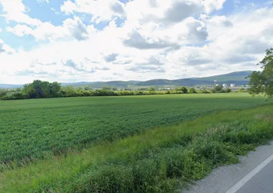 Na predaj pozemok, Modra