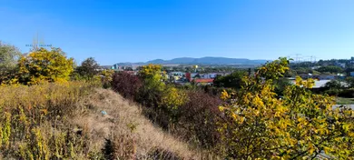 See details