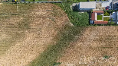Na predaj pozemok, 500 m², Bratislava-Jarovce, Chotárna