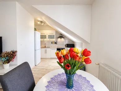Apartments for rent, 2-room in Skalica · €530