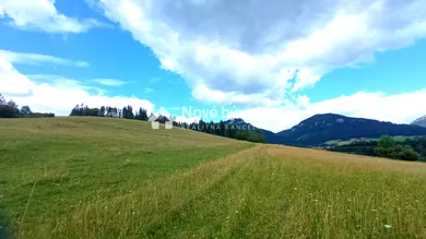 Na predaj pozemok, Bukovina