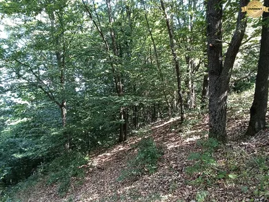 Na predaj pozemok, Hrabičov