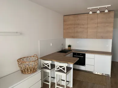 Mieszkania na wynajem, 1-pokojowe, Košice-Staré Mesto · €620