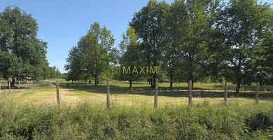 Na predaj pozemok, Stupava, Malý háj