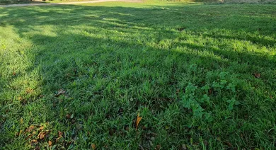 Działki na sprzedaż, Bratislava-Záhorská Bystrica · €299 000