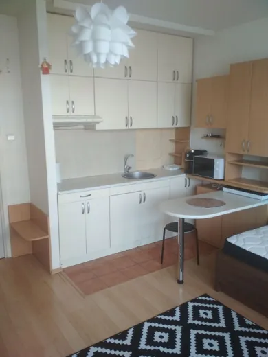 Na prenájom 1-izbový byt, 20 m², Bratislava-Petržalka, Šustekova