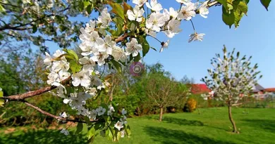 Działki na sprzedaż, Dunajská Streda · €187 000