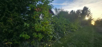 Na predaj pozemok, 312 m², Trenčín, Východná